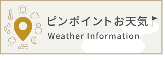 ピンポイントお天気